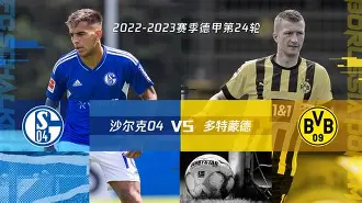 欧博官网登录-沙尔克04vs汉诺威96