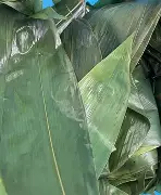 欧博官网登录-踏雪乌啼观海啸笔趣阁